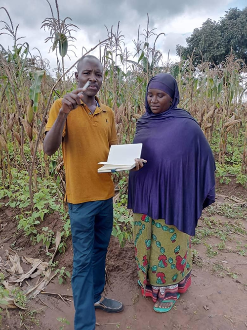 An extension officer works with Ms. Mwajuma's of Kiore village to start sunflower farming on her land An extension officer works with Ms. Mwajuma's of Kiore village to start sunflower farming on her land