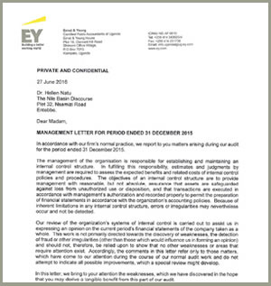 NBD External Audit Report 2015