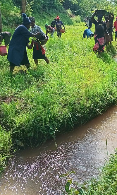 Planting assorted indigenious tress along river Firatsi in Butere of Kakamega county (Photo credit: Zablon Indakwa).