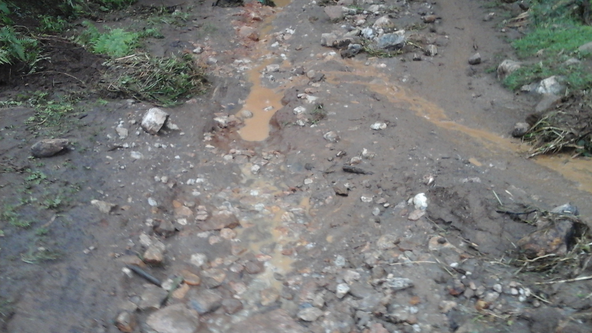 A typical example of erosion damaged roads in the areas of Beni and Lubero.